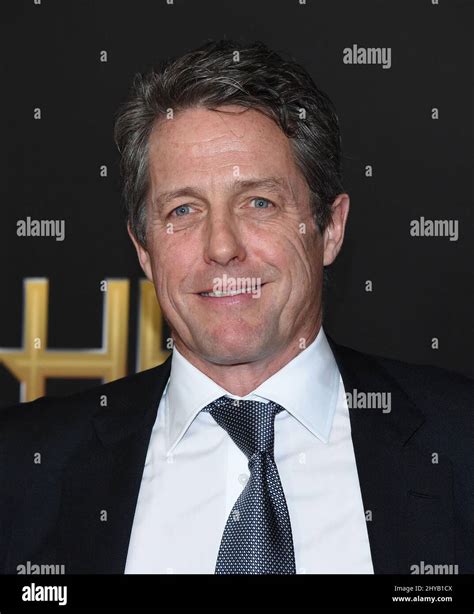 Hugh Grant attending the 20th annual Hollywood Film Awards at the ...