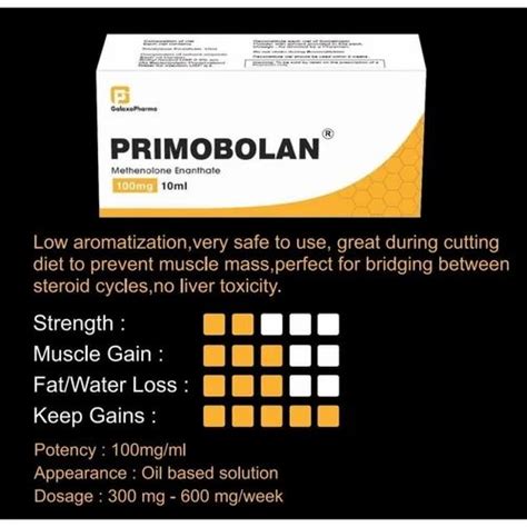 Primobolan Methenolone Injection Ml At Best Price In Nagpur