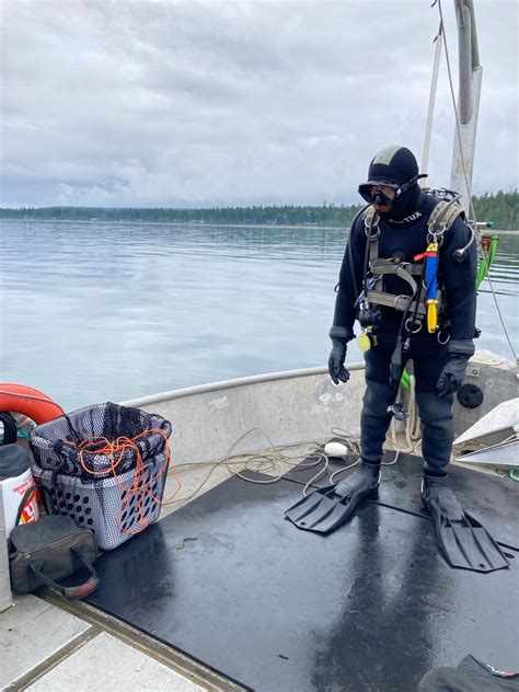 June Eelgrass Restoration Completed Project Watershed