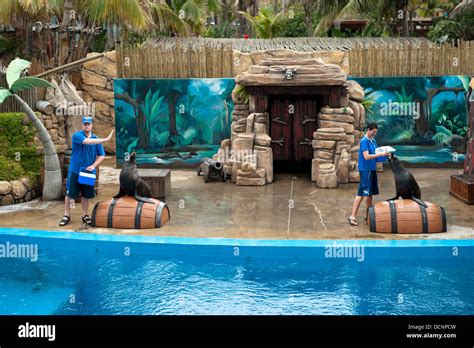 Seal Show At Ushaka Marine World Durban South Africa Stock Photo