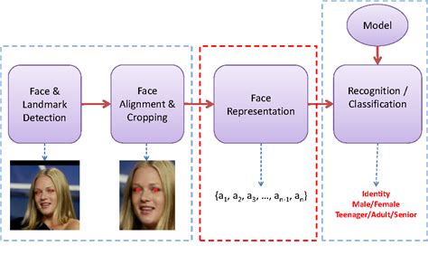 Age Detection Using Deep Learning In Opencv Geeksforgeeks 44 Off