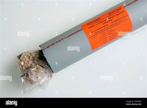 Rat trap and rat poison, pest control, rat bait Stock Photo - Alamy