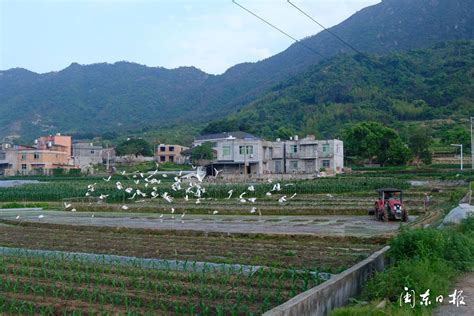 霞浦：乡村有了“田管家” 节本增效富农家新宁德