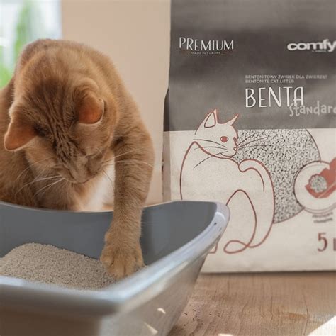 Comfy Benta New Standard żwirek bentonitowy dla kota 10L