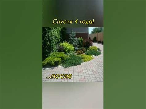 Спустя четыре года! - YouTube