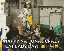 Real Crazy Cat Lady Gif