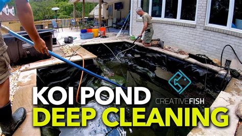 How To Clean A Koi Pond Quick Effective Solutions