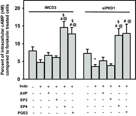 Pge And Ep Agonist Induce A Robust Increase In Intracellular Camp In