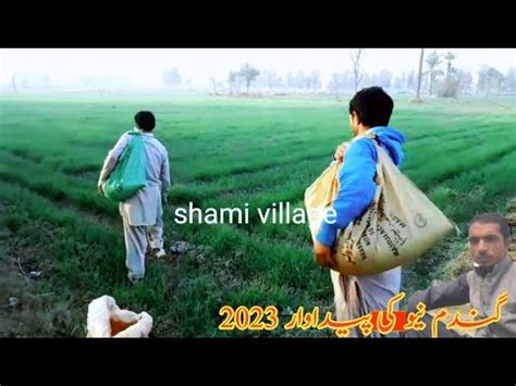 My Fast Vlog And Now Saraiki Volgs Hot Saraiki Volgs Pakistan Village