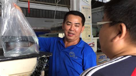 liow video collecting  arowana fish youtube