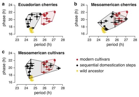 Domestication Selected For Deceleration Of The Circadian Clock In