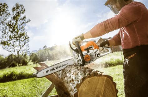 Motosega Stihl Ms Mobiglia S N C