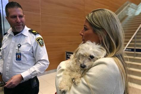 Vancouver Woman Reunited With Dog Missing For Three Years In Winnipeg