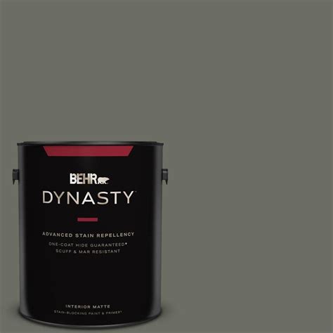 BEHR DYNASTY 1 Gal N380 6 Bonsai Trunk One Coat Hide Matte Interior