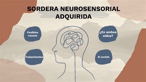 Sordera Neurosensorial Adquirida By Mateo Giorgetti On Prezi