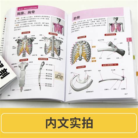 套装2册 3d人体解剖图3d人体解剖百科手册人体解剖学彩色学图谱人体解剖学入门书西医解剖学外科医生用书实物图谱解剖学医学图谱虎窝淘