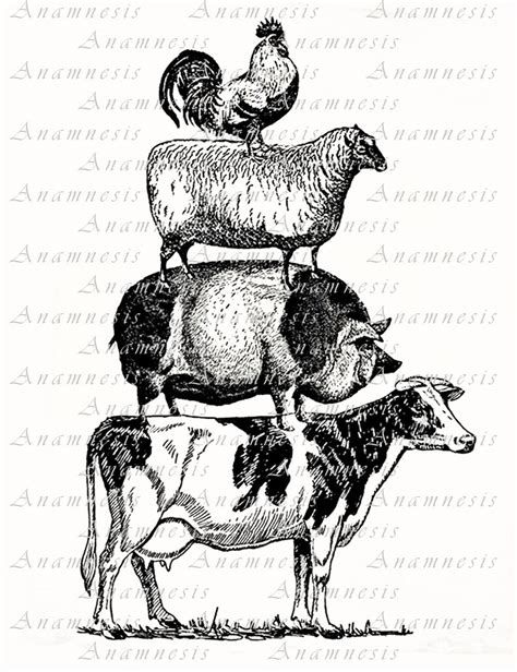 Farm Animal Pyramid Digital Download Printable Graphic Vintage Image By