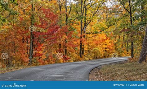 Autumn Colors Of Desoto State Park Stock Image Image Of Season