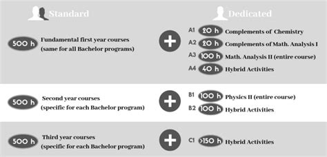 The detailed structure of the program | Download Scientific Diagram