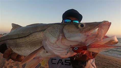 El Mejor Se Uelo Para Pesca De Robalo Fabricaci N Pesca De Playa