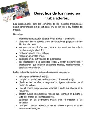 Ley Federal Pdf