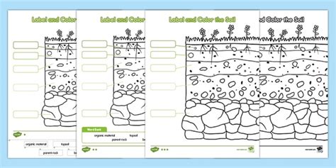 Label And Color The Soil Differentiated Activity