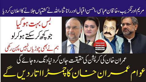 Pmln Maryam Aurangzeb Shahid Khaqan Abbasi Rana Sana Ullah Big