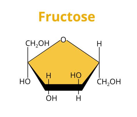 Ph N Bi T Sucrose Glucose V Fructose Kh C Nhau Th N O