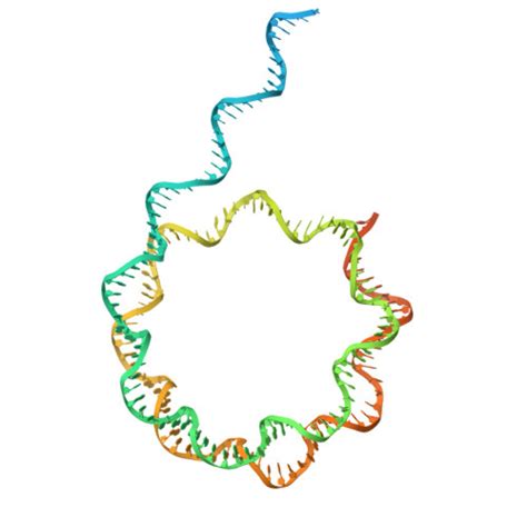 Rcsb Pdb Egp The Structure Of Swi Snf Nucleosome Complex