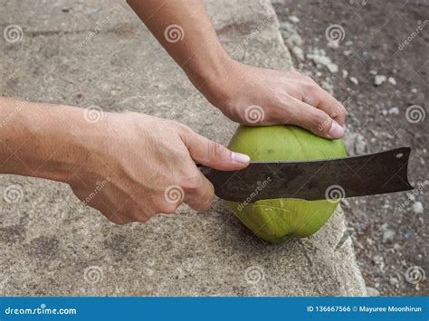 Coconut Shelling Machine Stock Image CartoonDealer 123634801