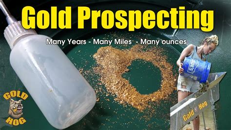 Gold Prospecting Equipment Goldhog Youtube