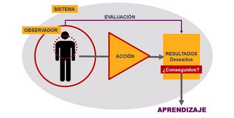 Introducir Imagen Ejemplos Del Modelo Osar Abzlocal Mx