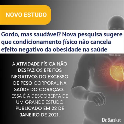 O que são psicobióticos Blog do Dr Barakat