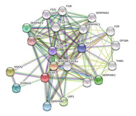 tPA Protein Overview | Sino Biological