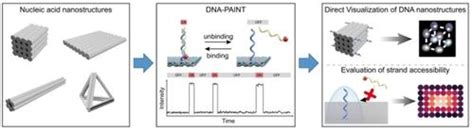 Dna Paint Super Resolution Imaging For Characterization Of Nucleic Acid