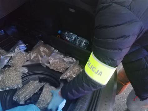 Płoccy policjanci zabezpieczyli 20 kilogramów narkotyków Płock Radio