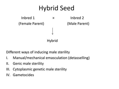 Hybrid Seed Production And Male Sterility In Maize Ppt