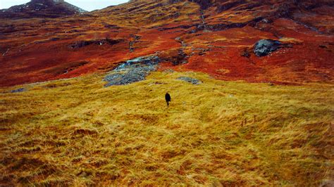 One Photographer’s Vibrant, Color-Saturated Landscapes - The New York Times