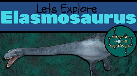 Elasmosaurus Facts For Kids The Thin Plate Lizard Youtube