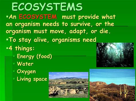 Levels Of The Environment Ppt Download