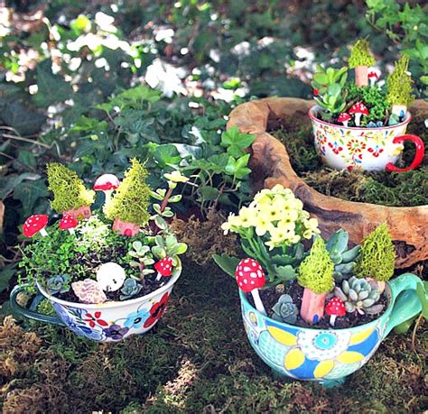 Cute Tea Cup Gardens A Cultivated Nest