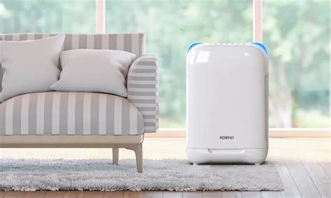 Review Renpho Air Purifier Can This Air Purifier Help With Asthma