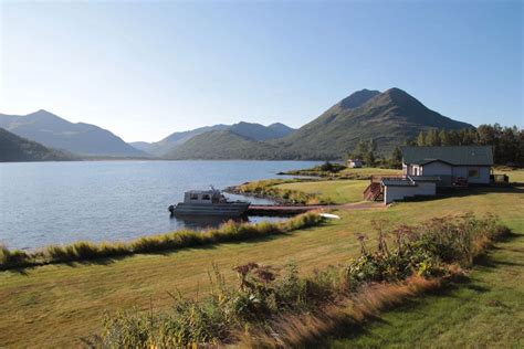 Kodiak Brown Bear Center Alaska Fly Out