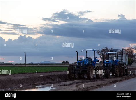 Agriculture In Yuma Az Stock Photo Alamy