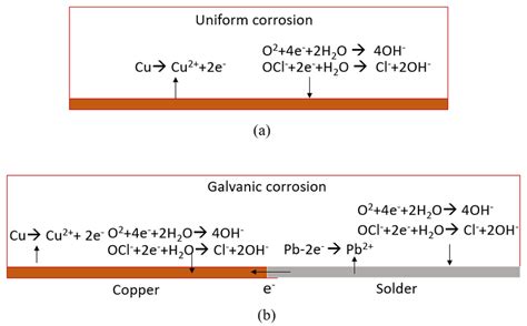 Schematic Illustration Of Anodic Reactions And Cathodic Reactions Of