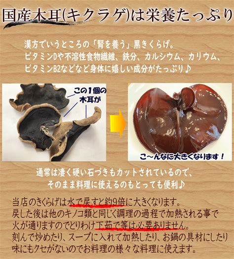 【楽天市場】国産 黒木耳 きくらげ 静岡県産 キクラゲ 100g 無農薬 放射能検査済 何個でも送料無料 最安 激安 ビタミンd 食物繊維