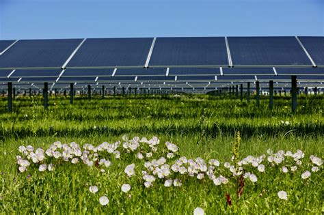 Pennsylvania Queued Solar Projects Would Increase Total Capacity 18x Pv Magazine Usa