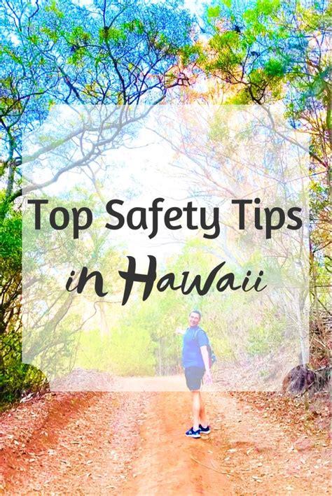 Is Anonib Hawaii Safe? The Facts You Need to Know. - rl4suaq