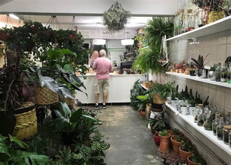 Lojas De Plantas No Centro De Sp Para Comprar Flores Ou Passear