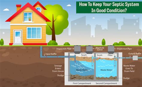 Cesspool Maintenance And Problems HomeProfy